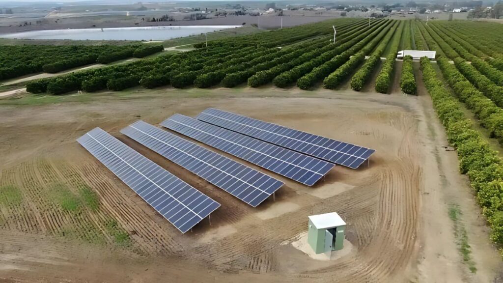 Agropecuaria Pajaritos - Enaltia Solar finaliza una instalación de autoconsumo de 100kW