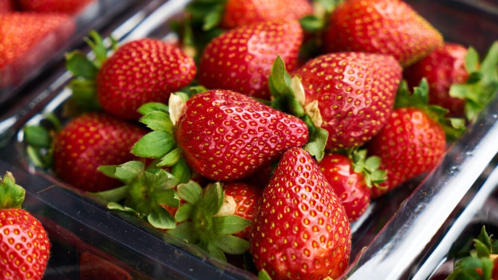 El ahorro de energía que ha generado Agrofresas gracias al autoconsumo fotovoltaico - Enaltia Solar