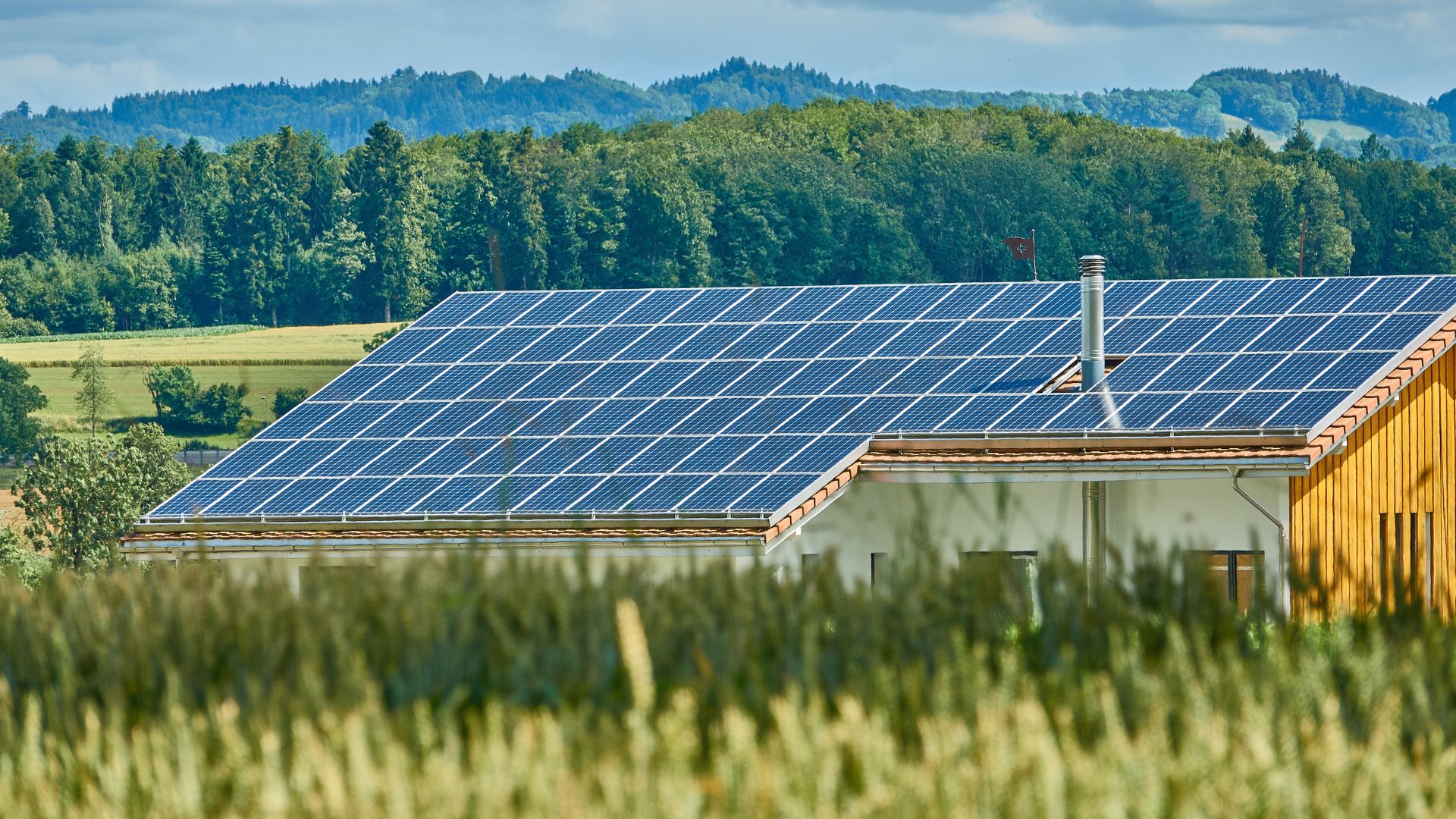 Tipos de autoconsumo eléctrico y sus ventajas - Enaltia Solar