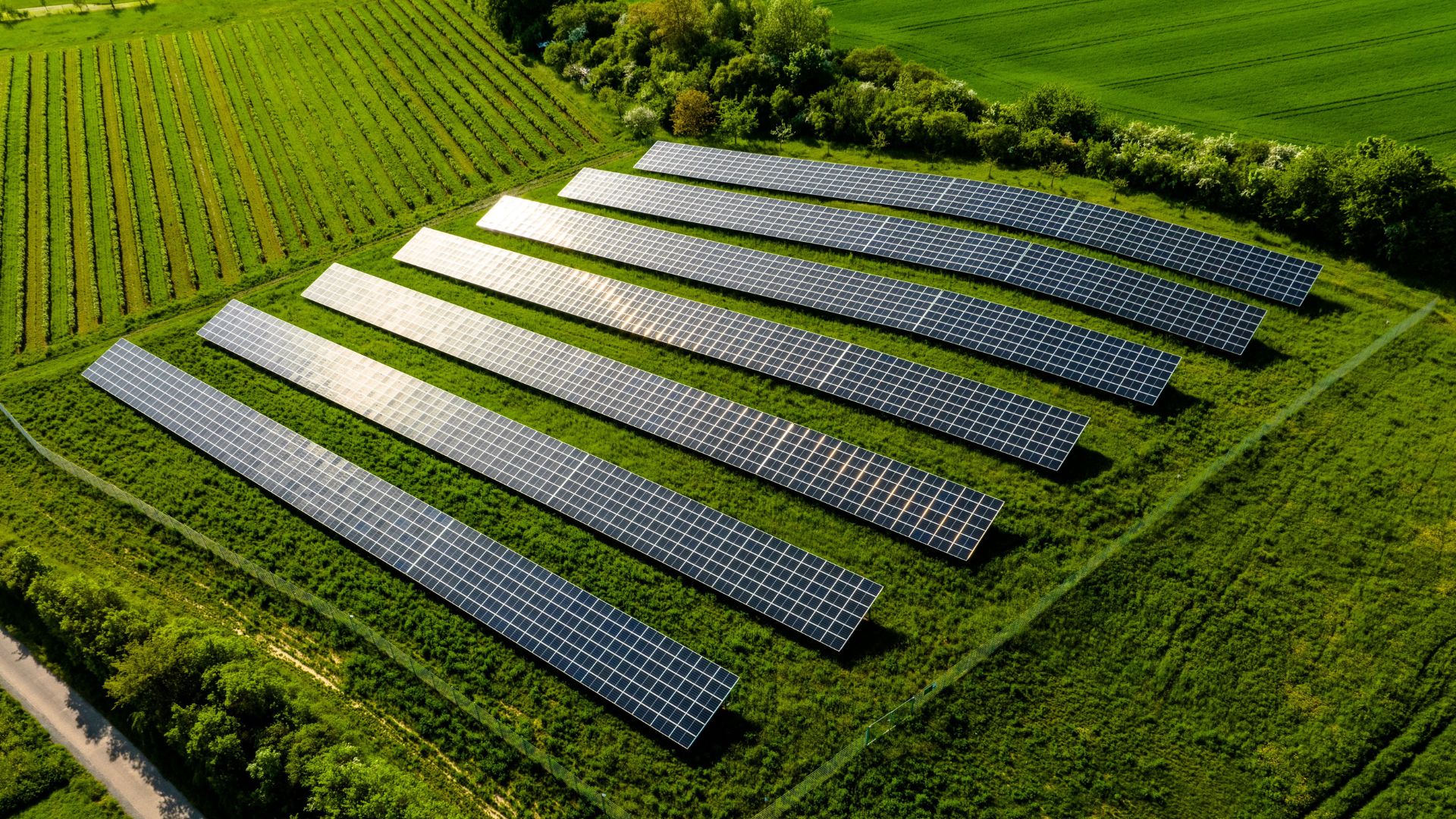 Huertos solares_ la alternativa perfecta para el ahorro energético