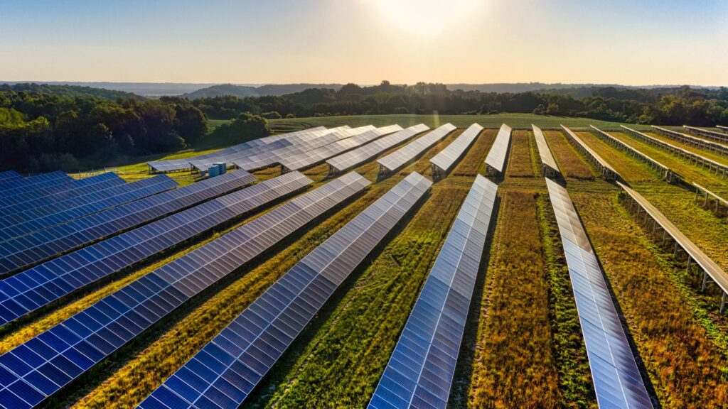 Enaltia Solar | La gestión de huertos solares, baterías y su papel en la estabilidad de la red eléctrica.